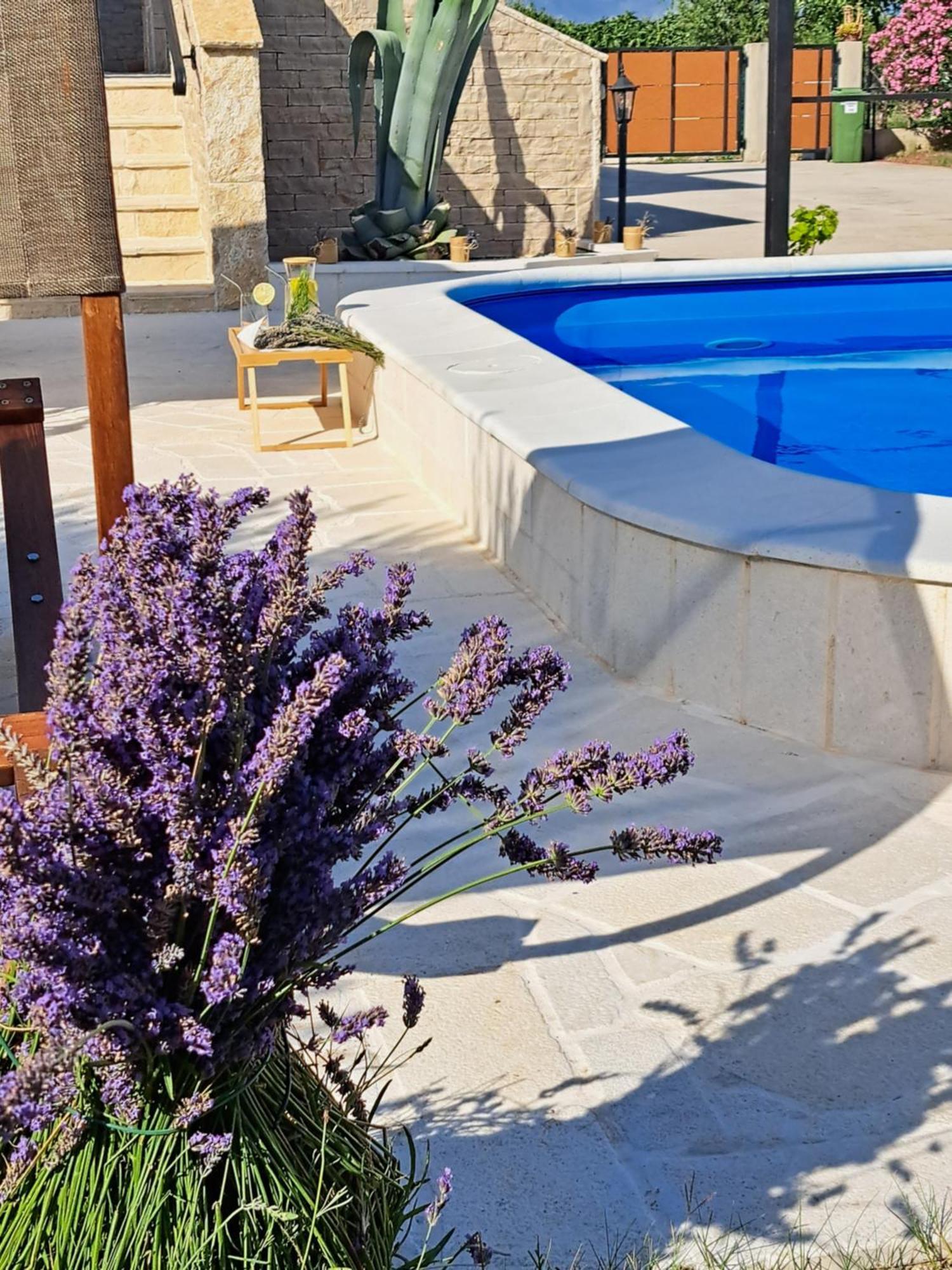 Vila Pan Zadar Exterior photo